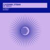 Chart track